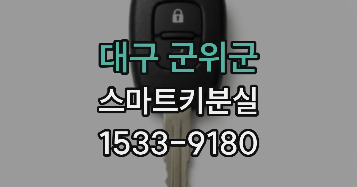 대구 군위군 스마트키분실