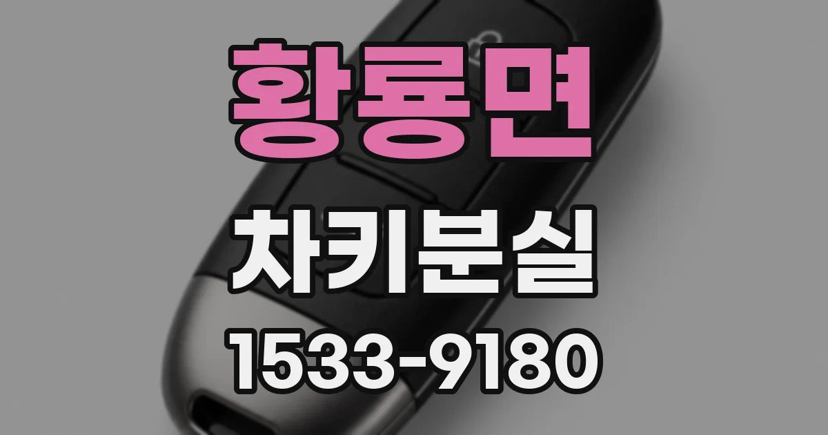 황룡면 차키분실