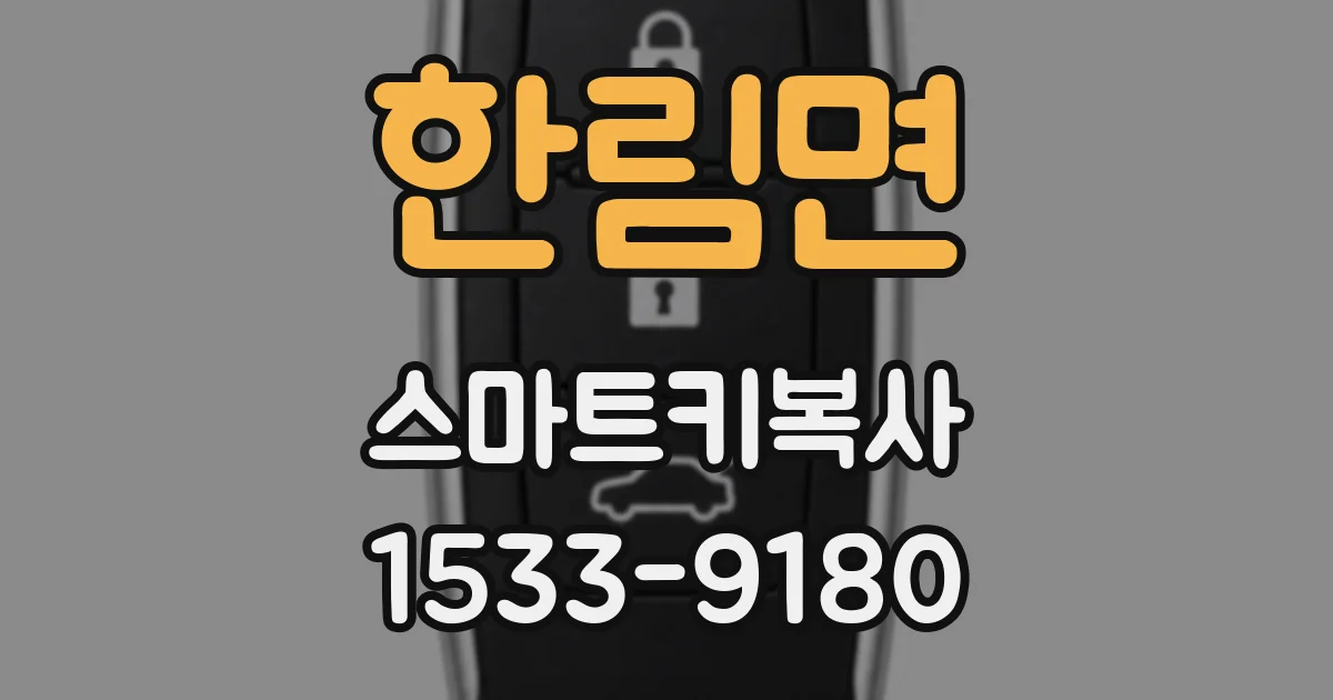 한림면 스마트키복사