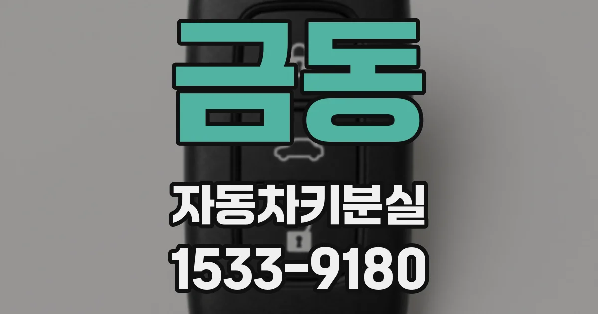 금동 자동차키분실