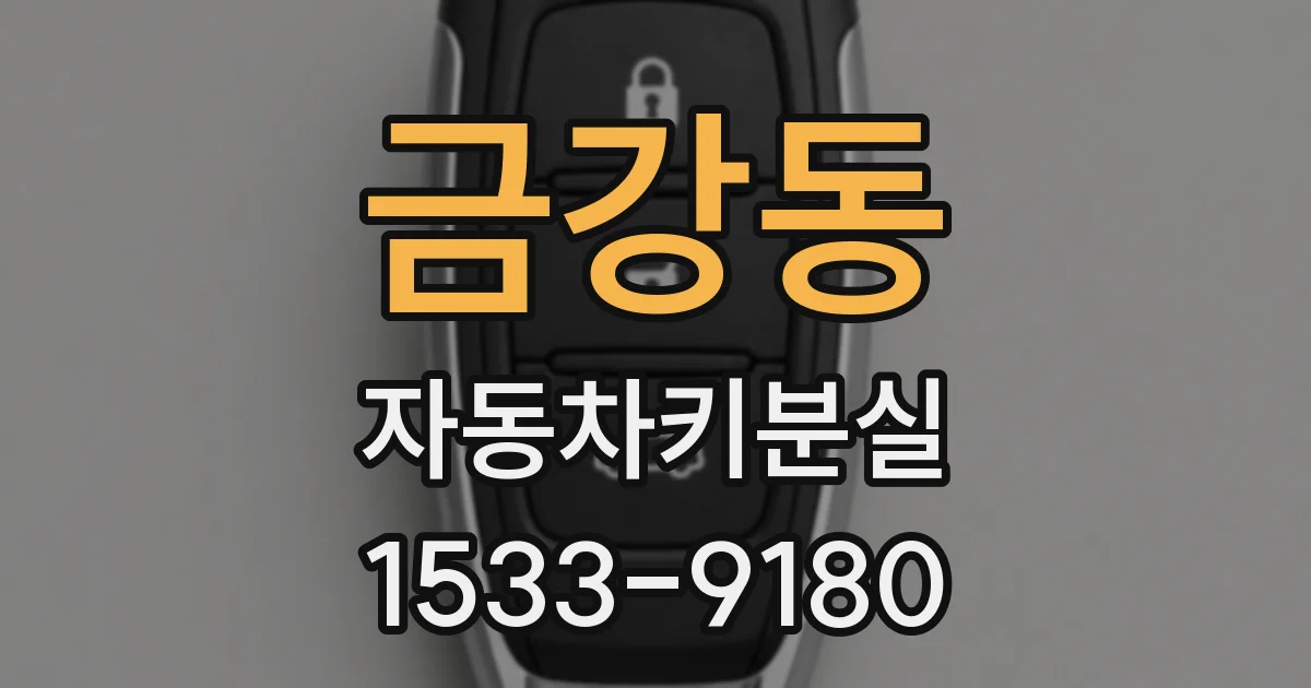 금강동 자동차키분실