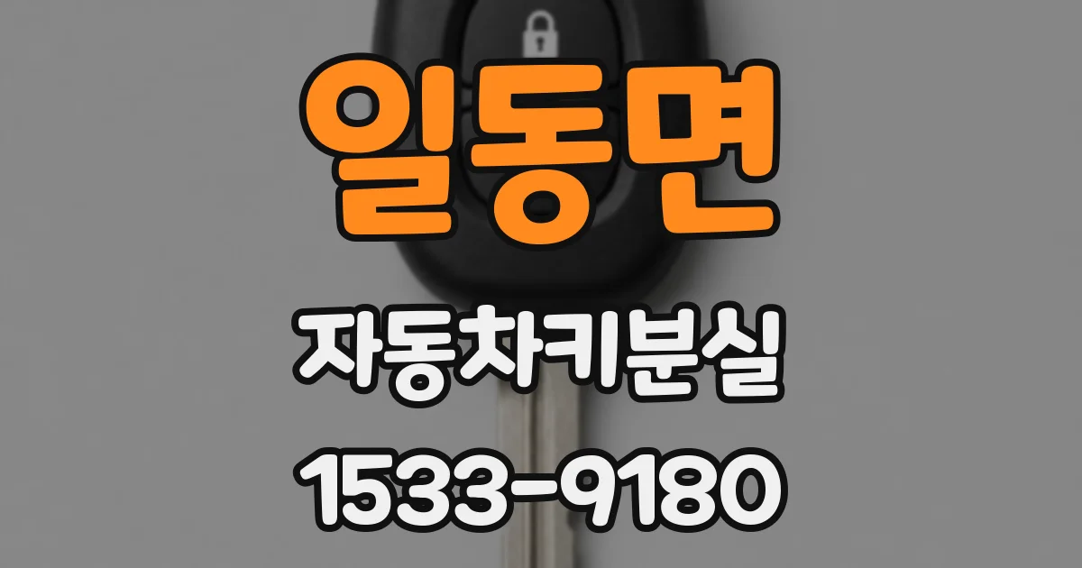 일동면 자동차키분실