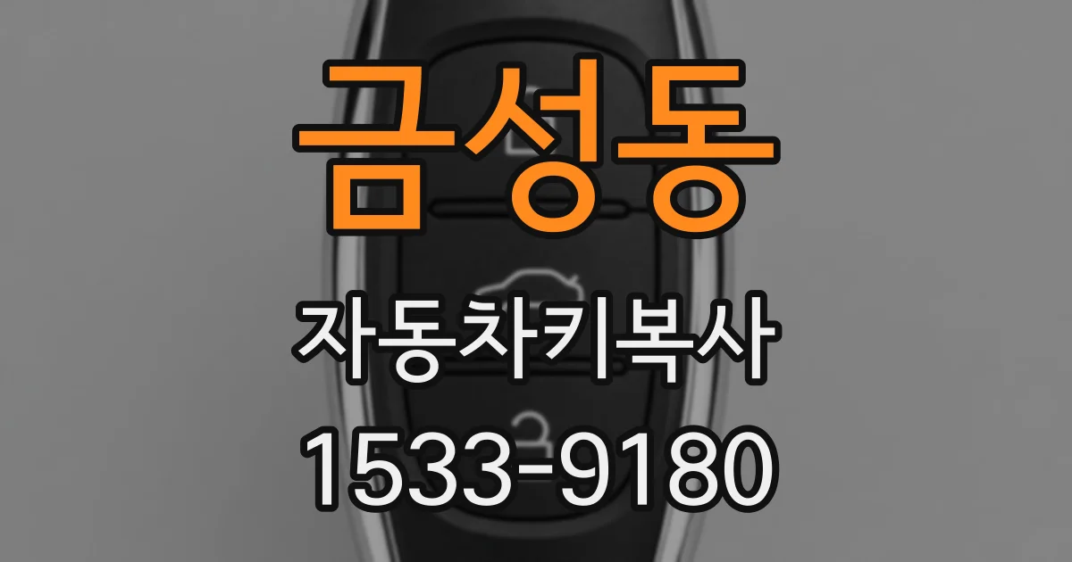 금성동 자동차키복사