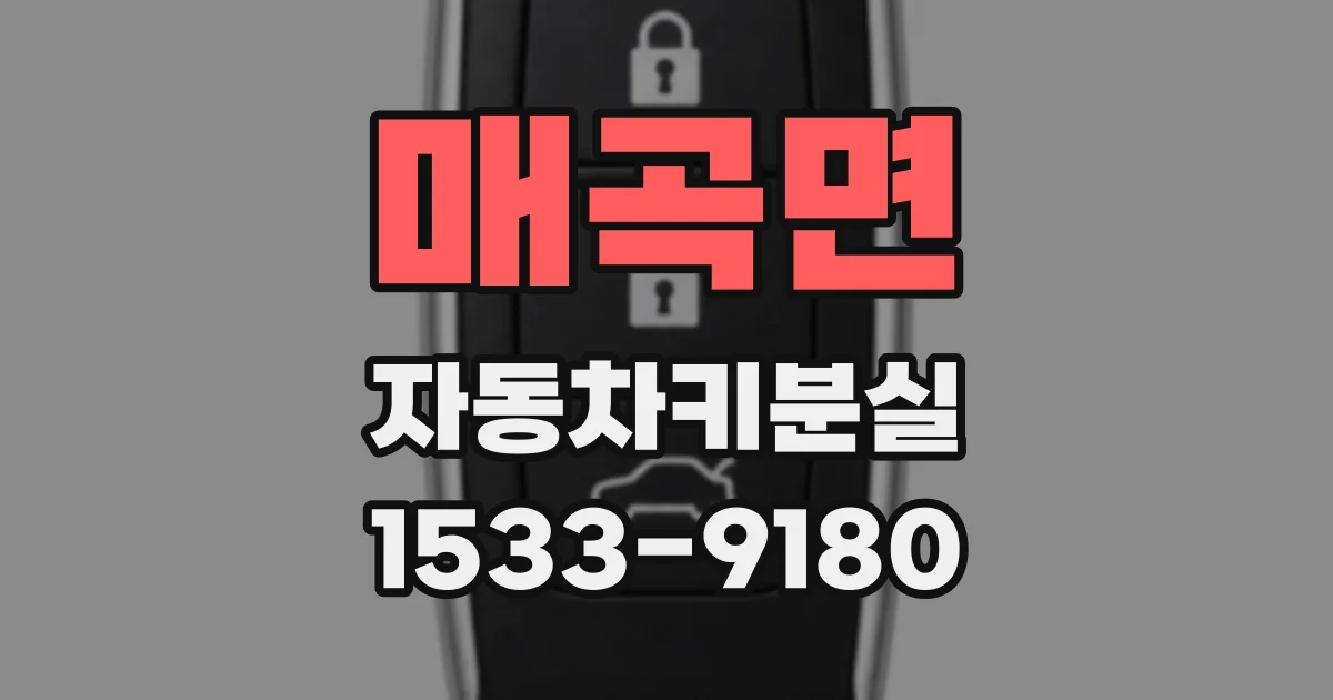 매곡면 자동차키분실