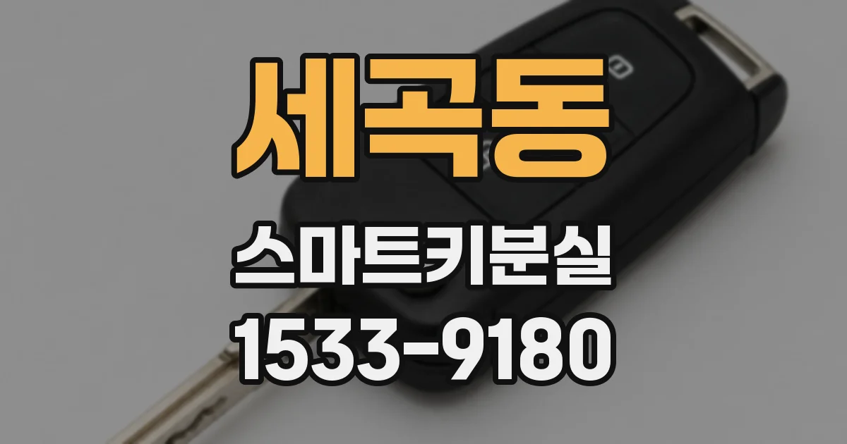 세곡동 스마트키분실