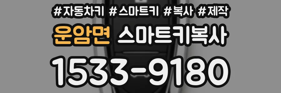 운암면 스마트키복사