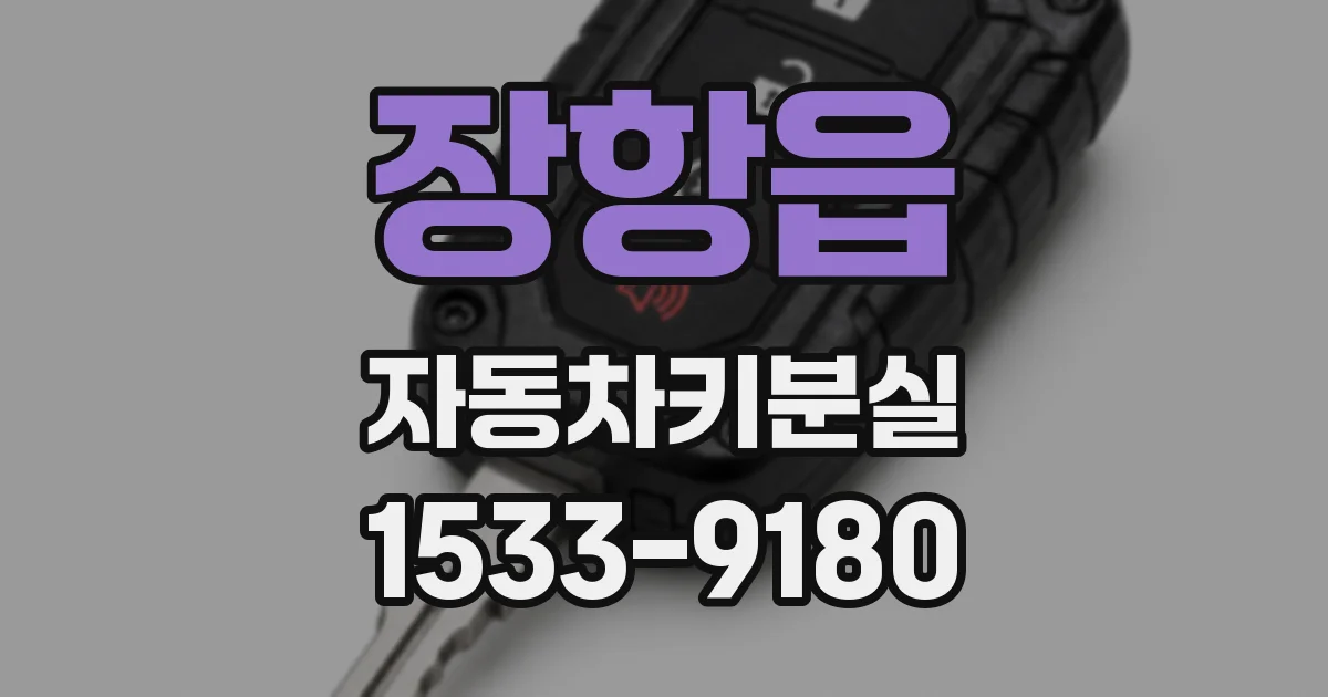 장항읍 자동차키분실