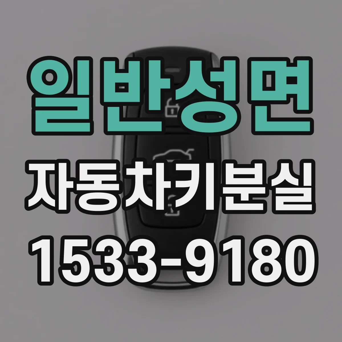 일반성면 자동차키분실