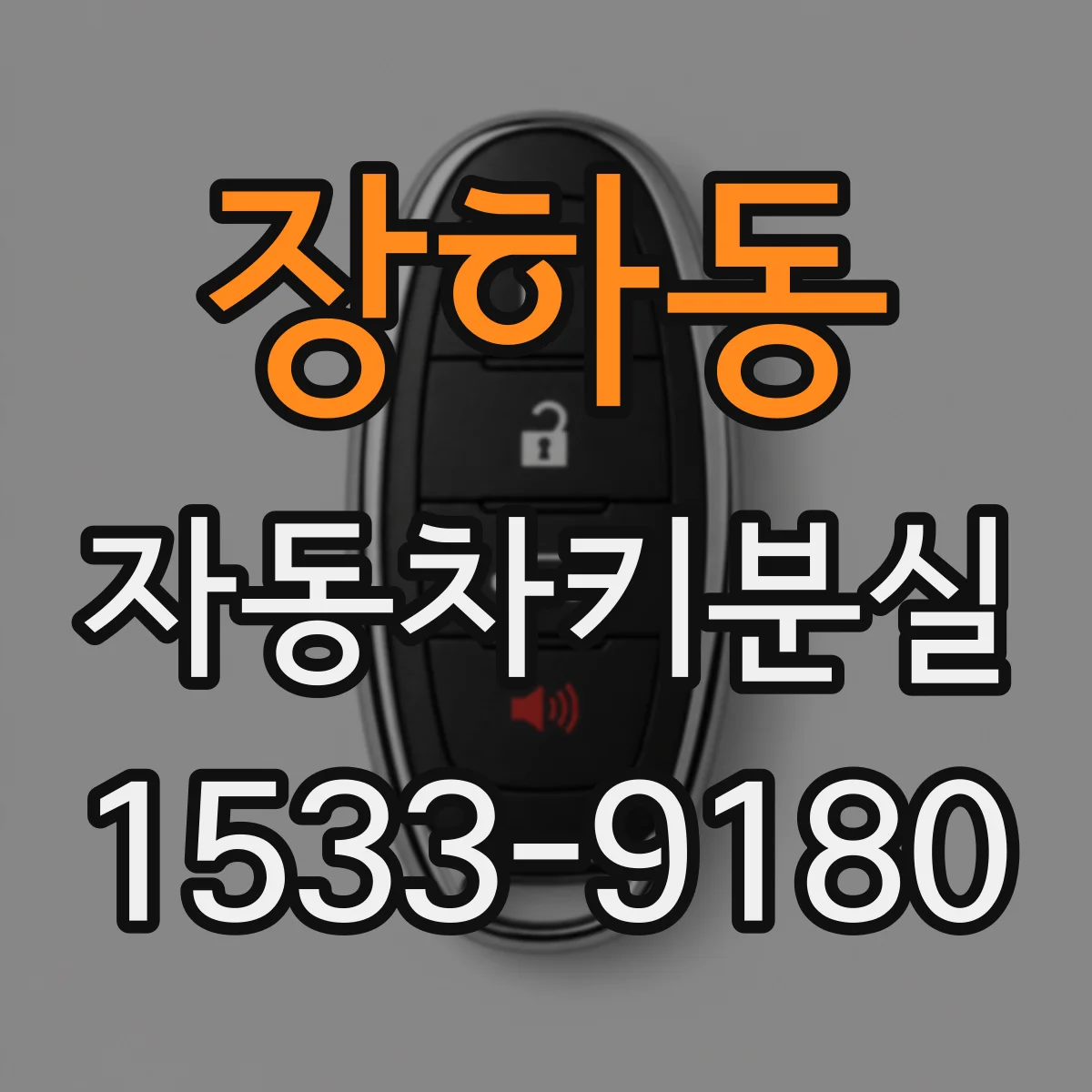 장하동 자동차키분실