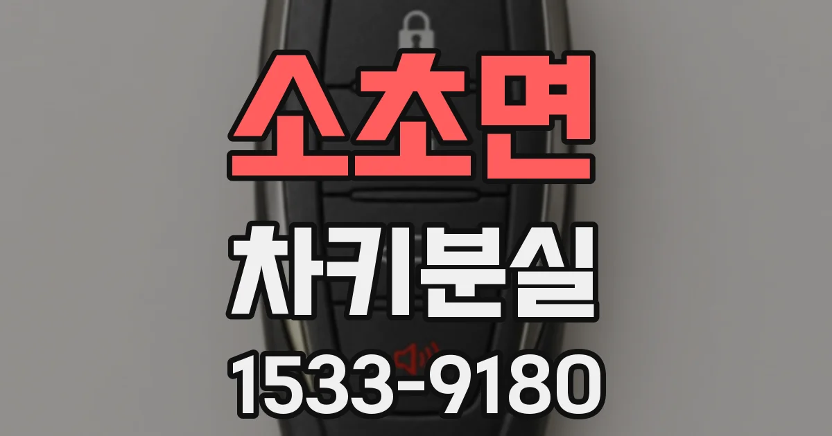 소초면 차키분실