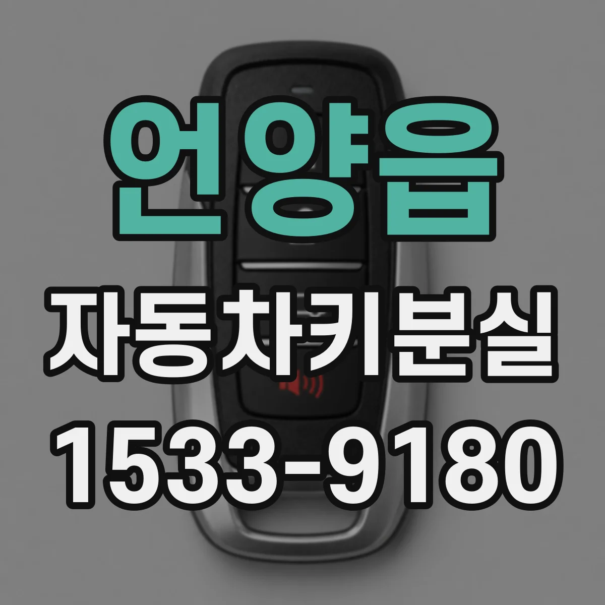 언양읍 자동차키분실