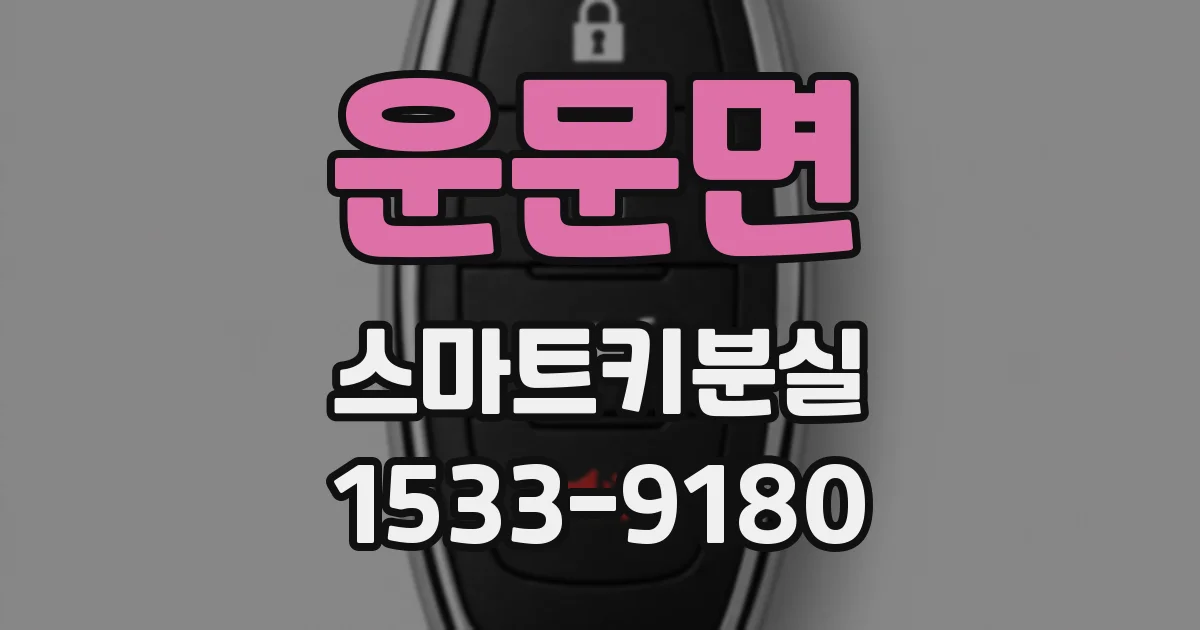 운문면 스마트키분실