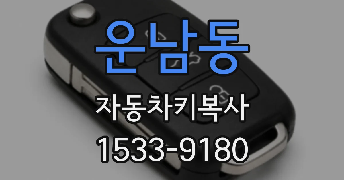 운남동 자동차키복사