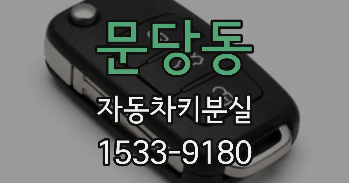 문당동 자동차키분실