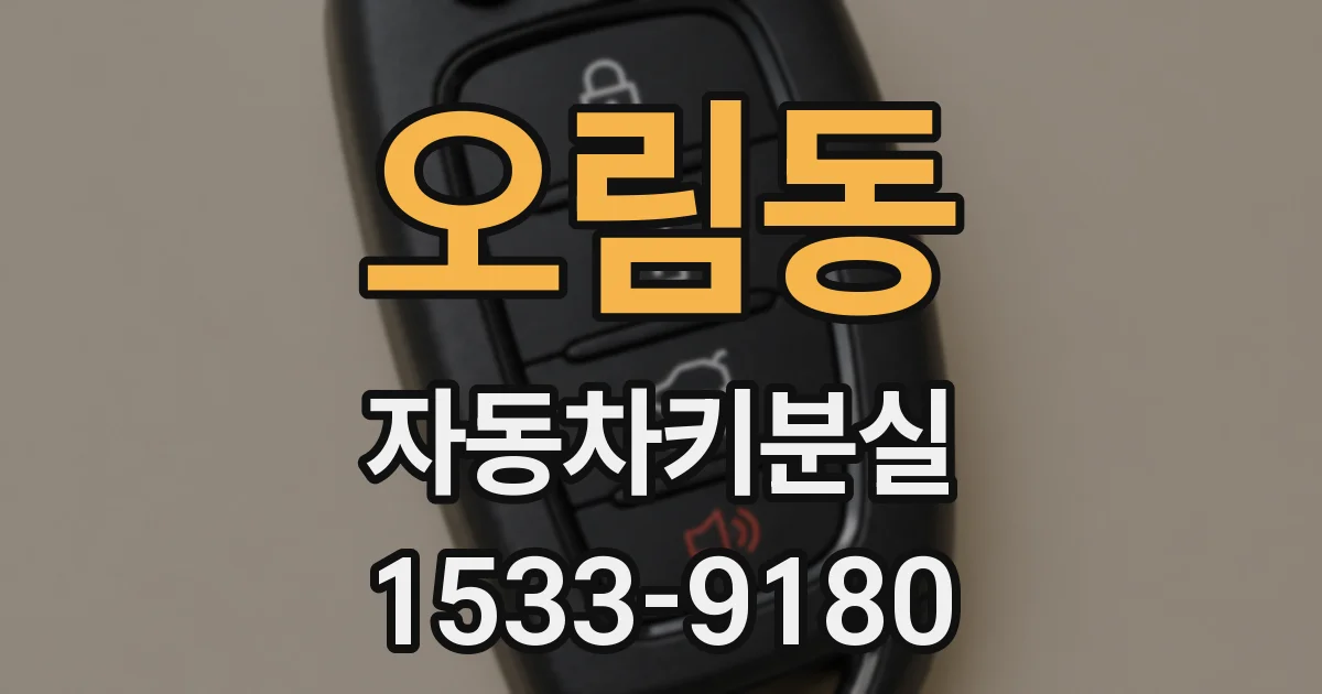 오림동 자동차키분실