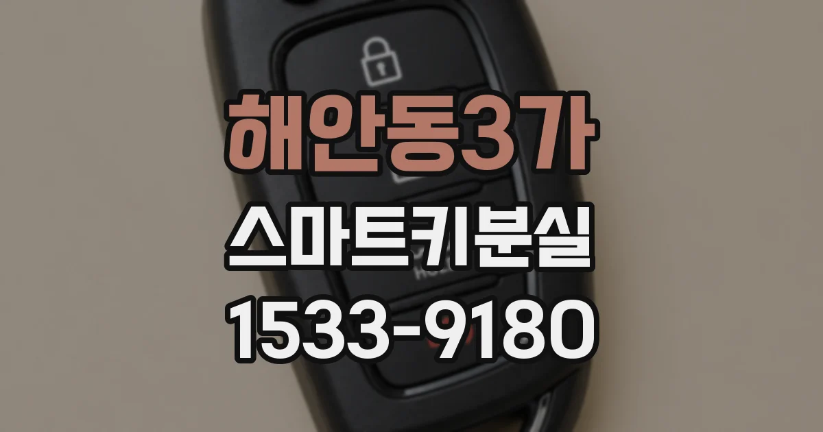 해안동3가 스마트키분실