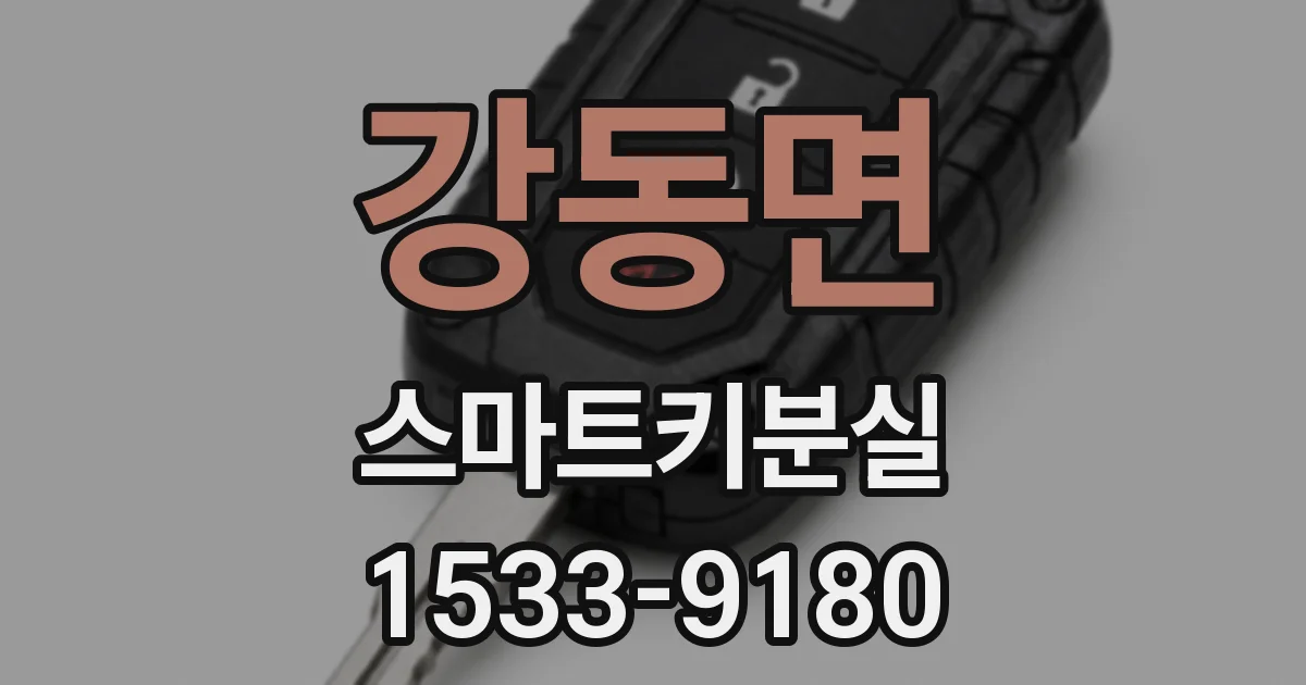 강동면 스마트키분실