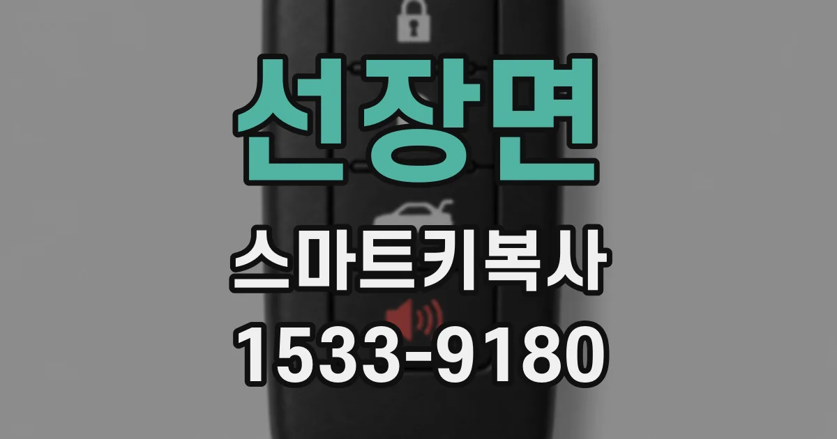 선장면 스마트키복사