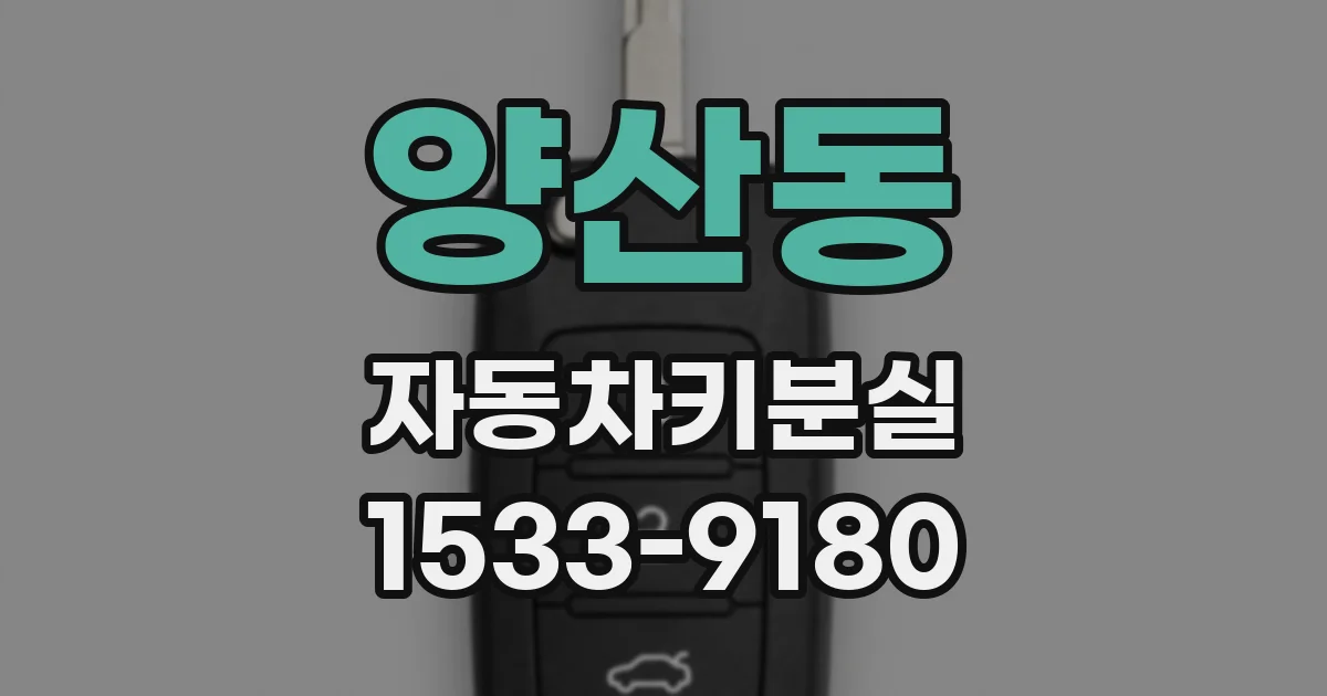 양산동 자동차키분실
