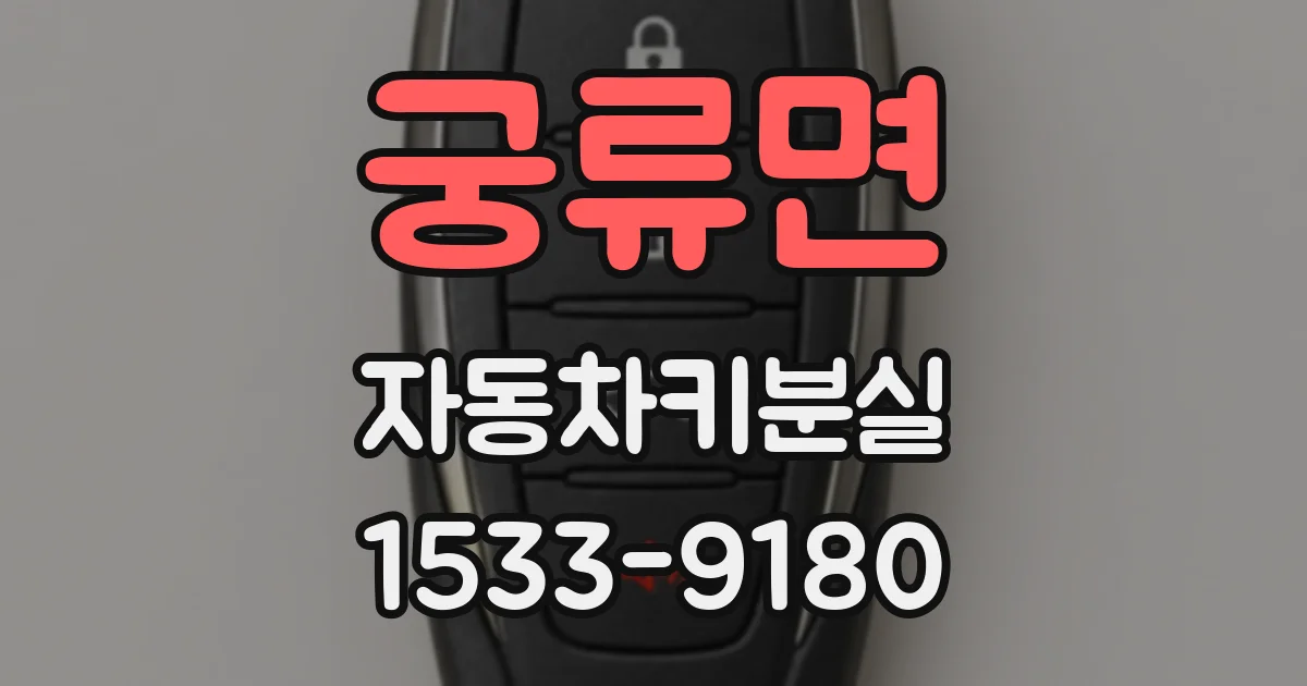 궁류면 자동차키분실