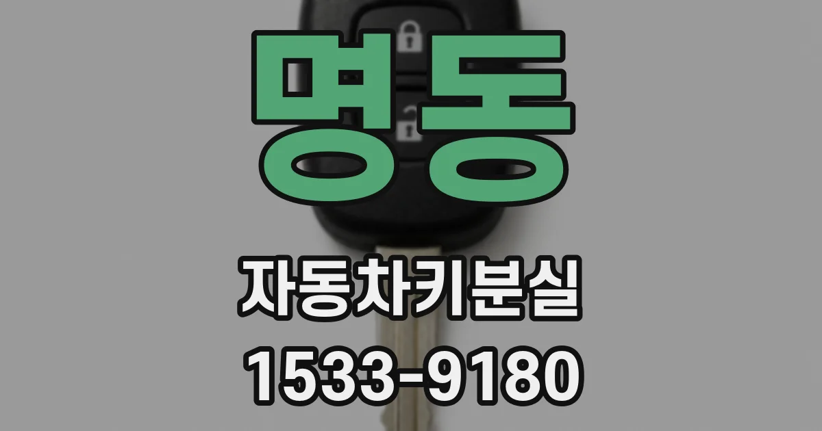 명동 자동차키분실
