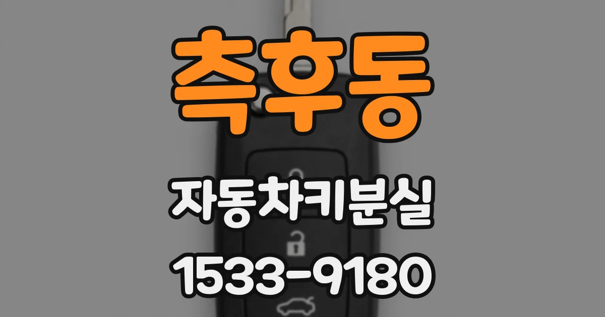 측후동 자동차키분실