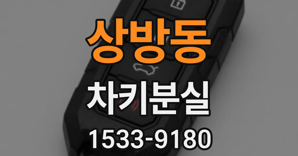 상방동 차키분실