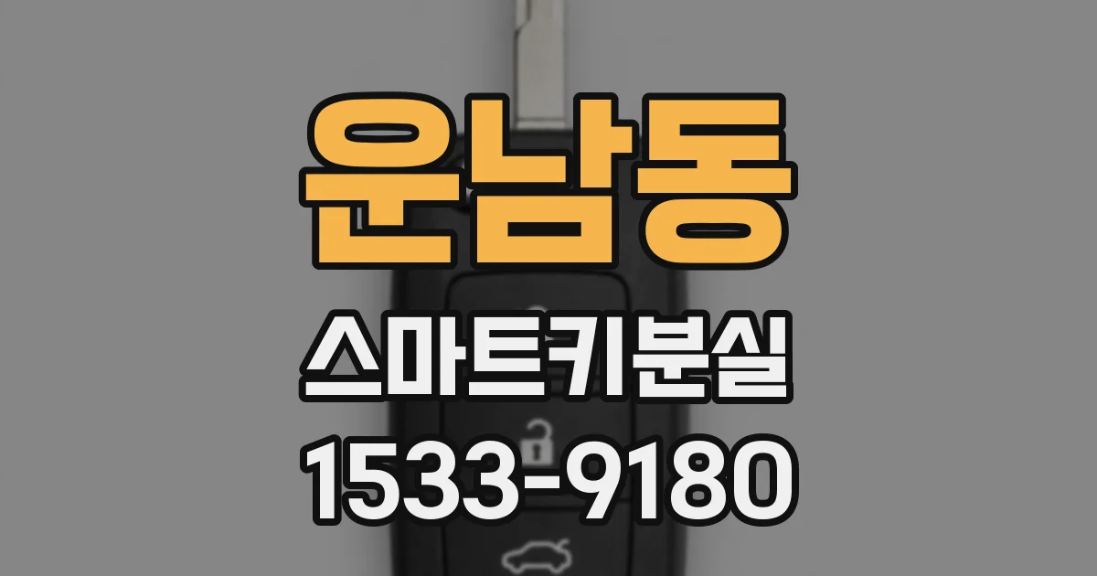 운남동 스마트키분실