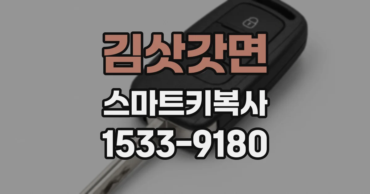 김삿갓면 스마트키복사
