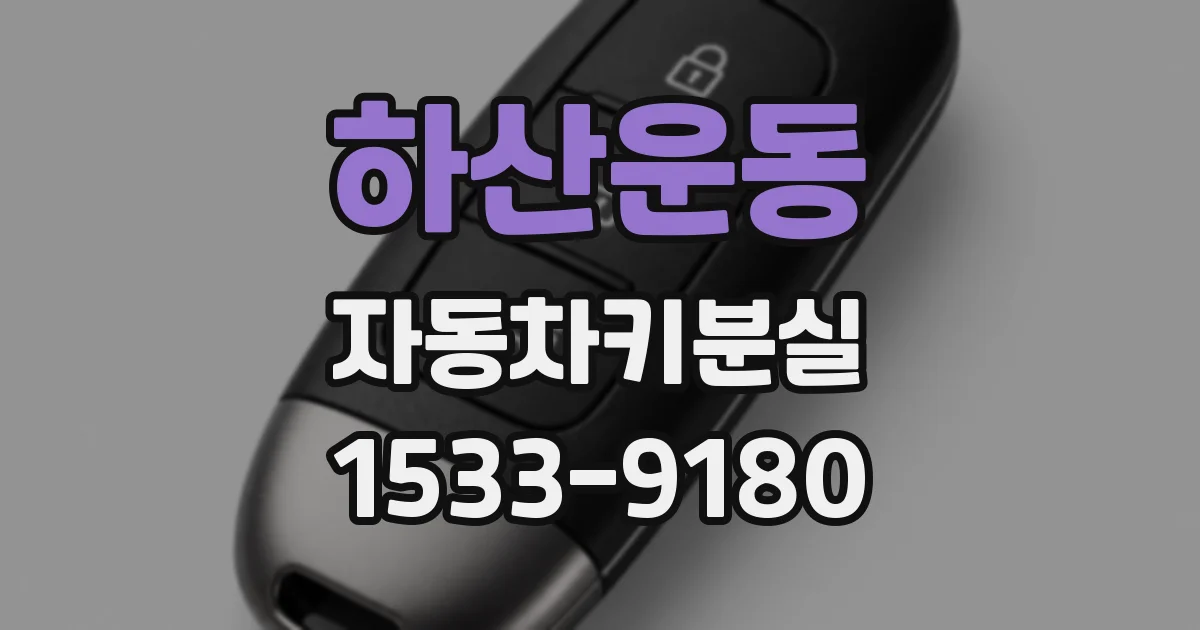 하산운동 자동차키분실