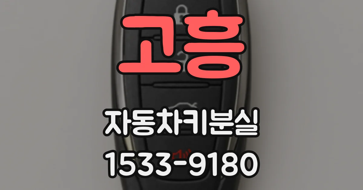 고흥 자동차키분실