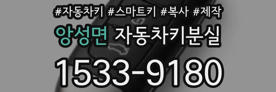 앙성면 자동차키분실