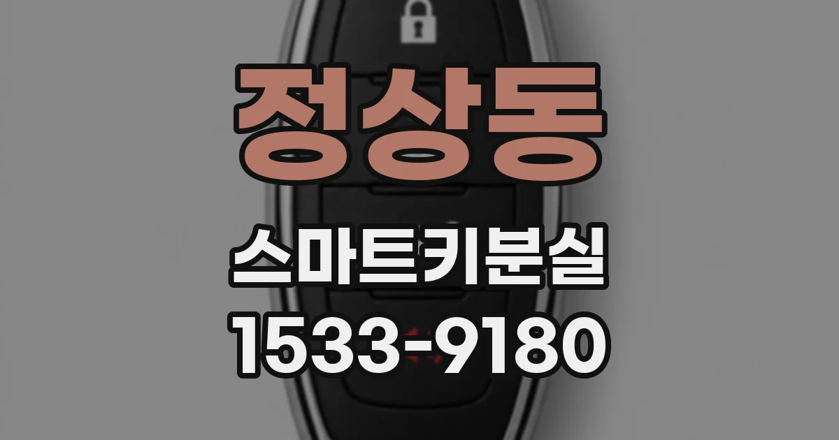 정상동 스마트키분실