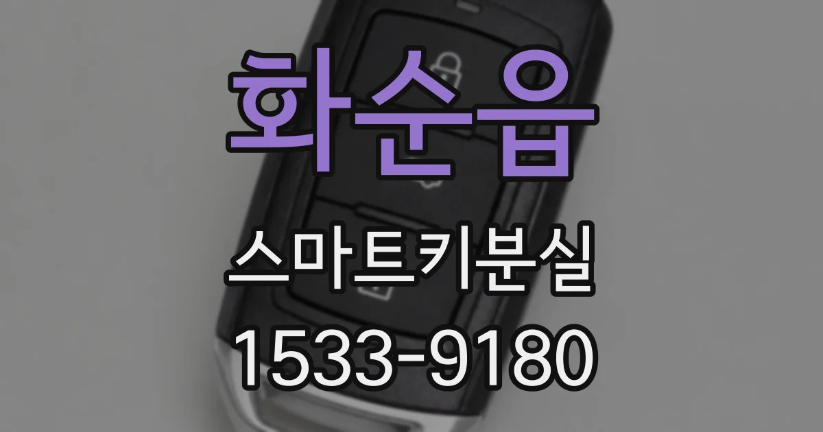 화순읍 스마트키분실