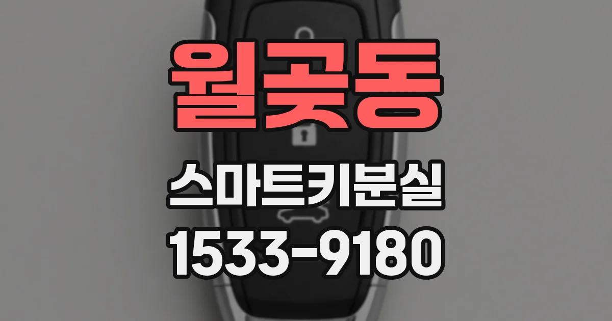 월곶동 스마트키분실