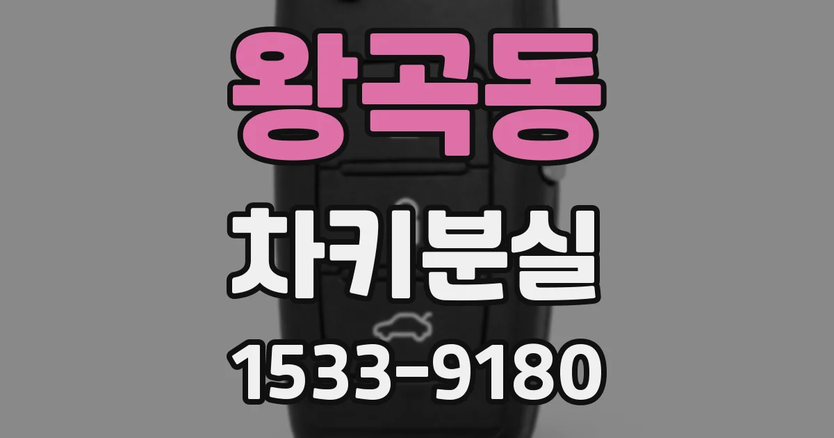 왕곡동 차키분실