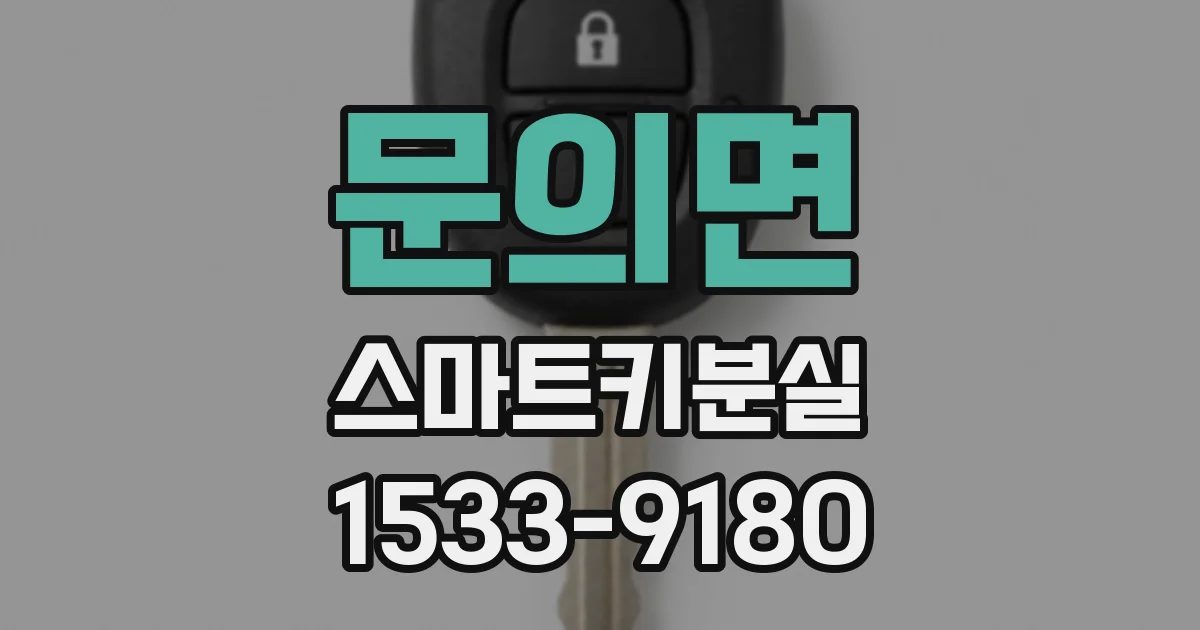 문의면 스마트키분실