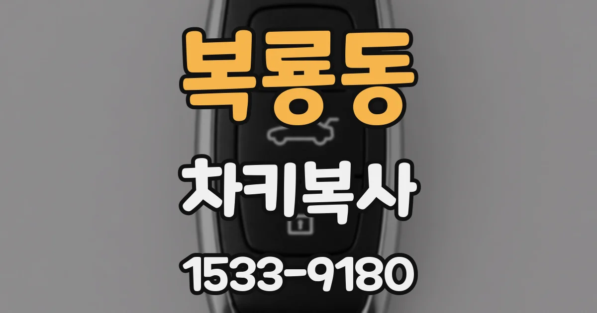 복룡동 차키복사