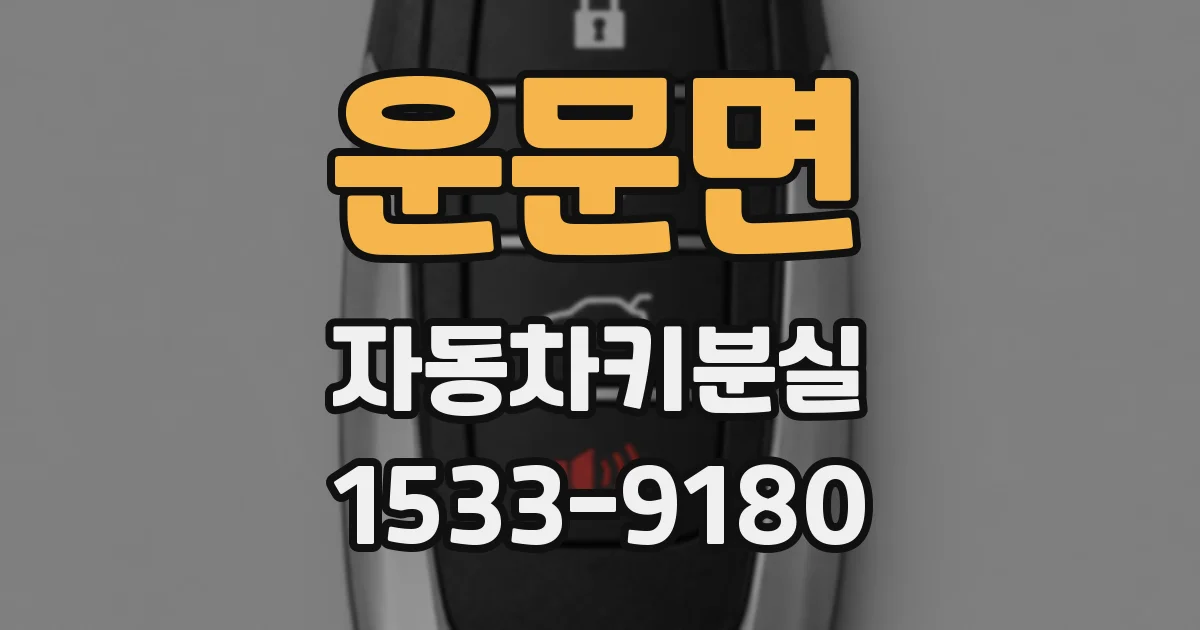 운문면 자동차키분실