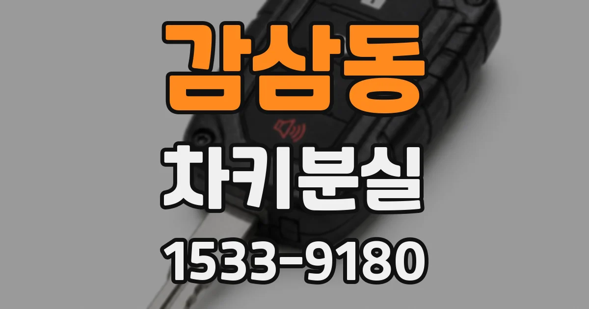 감삼동 차키분실