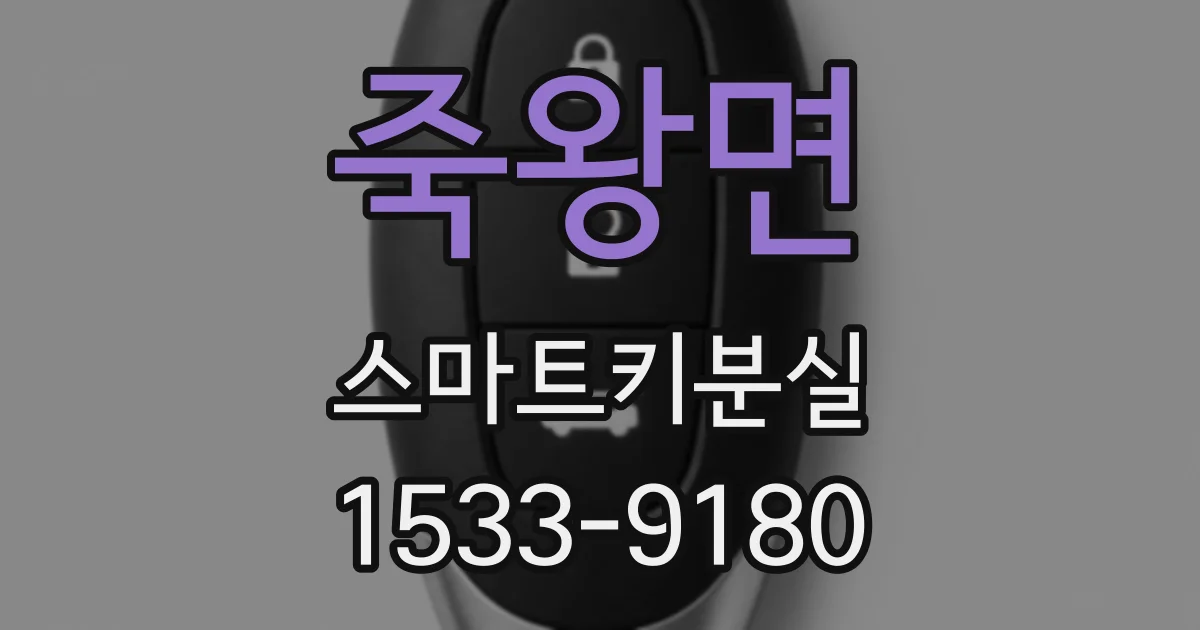 죽왕면 스마트키분실