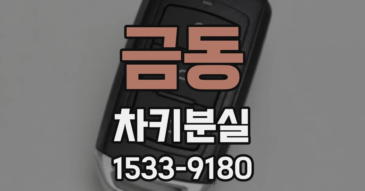 금동 차키분실