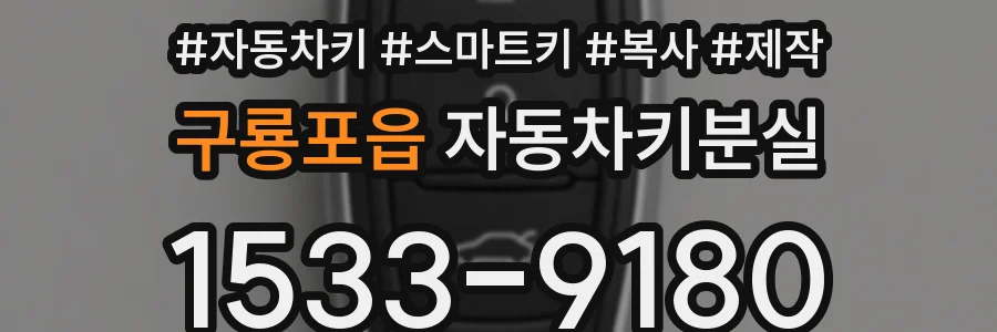 구룡포읍 자동차키분실