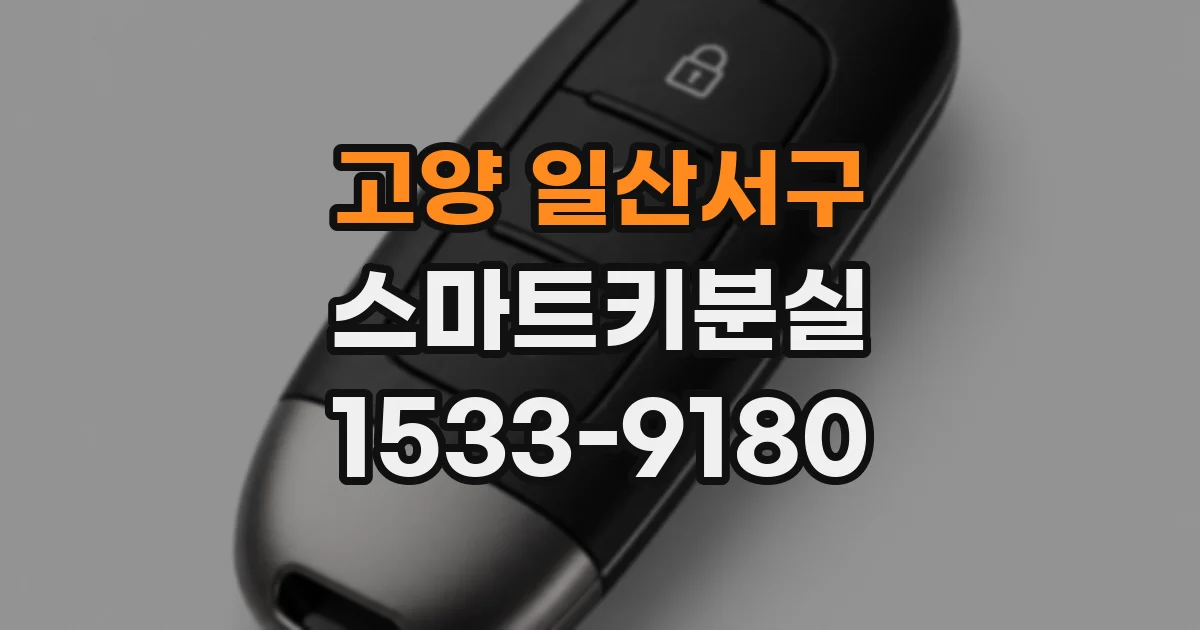 고양 일산서구 스마트키분실