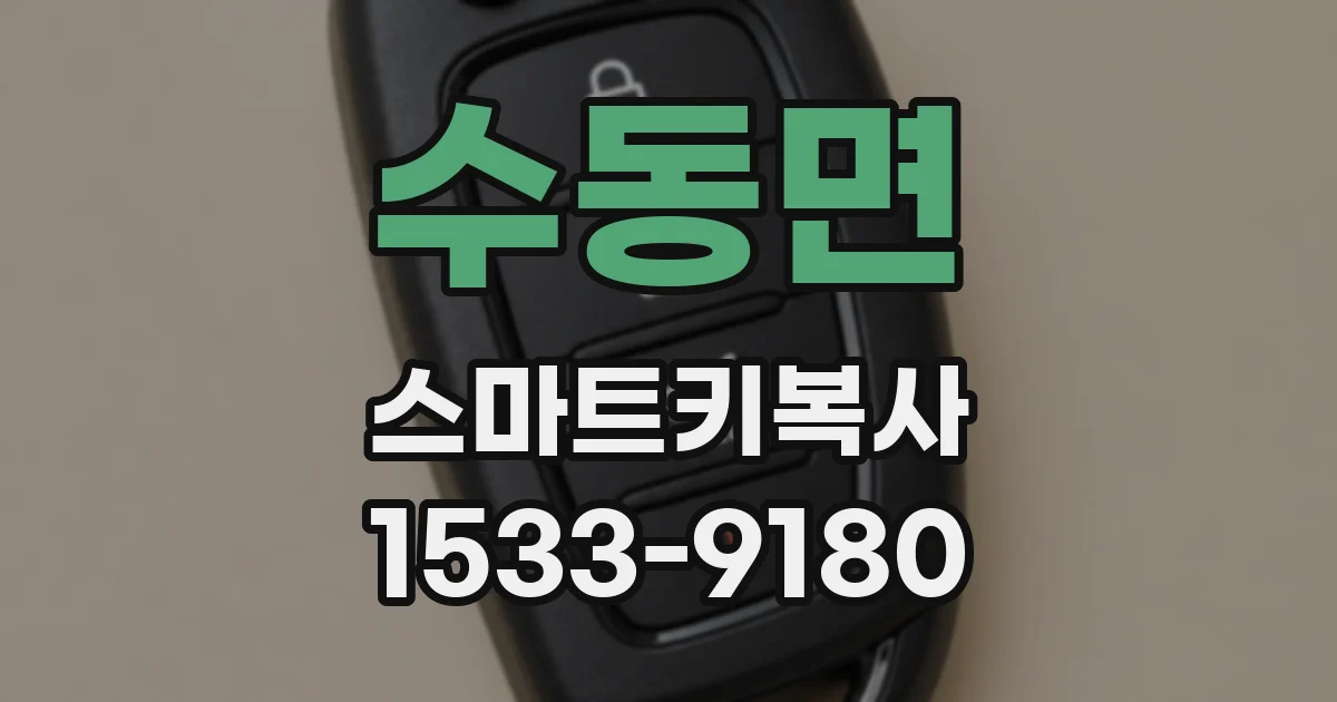 수동면 스마트키복사