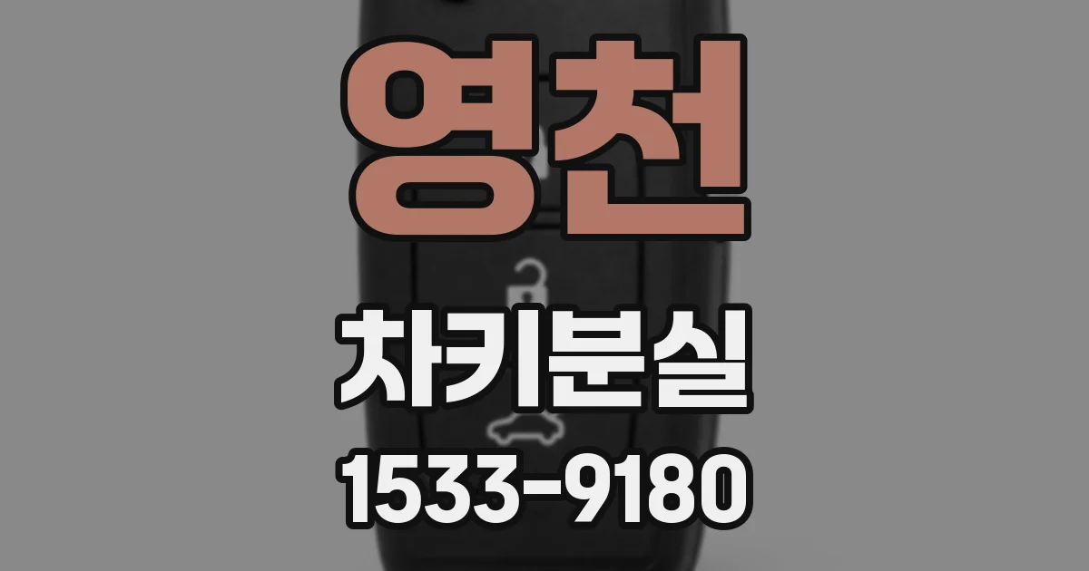 영천 차키분실