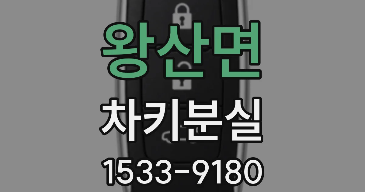 왕산면 차키분실