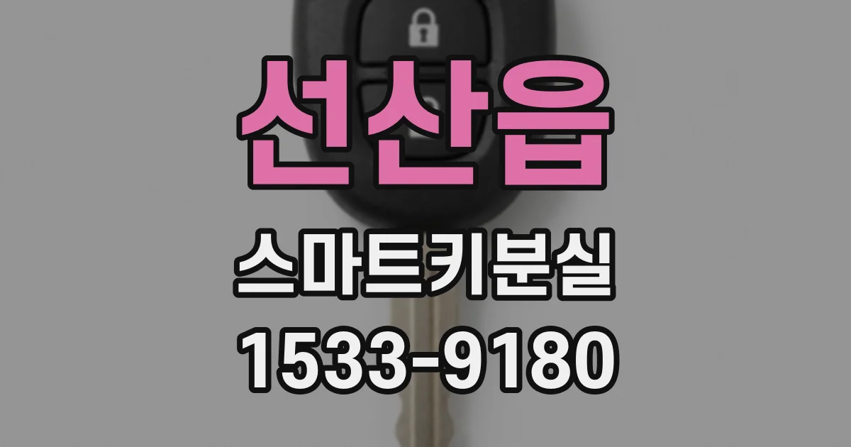 선산읍 스마트키분실