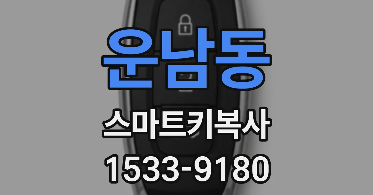 운남동 스마트키복사