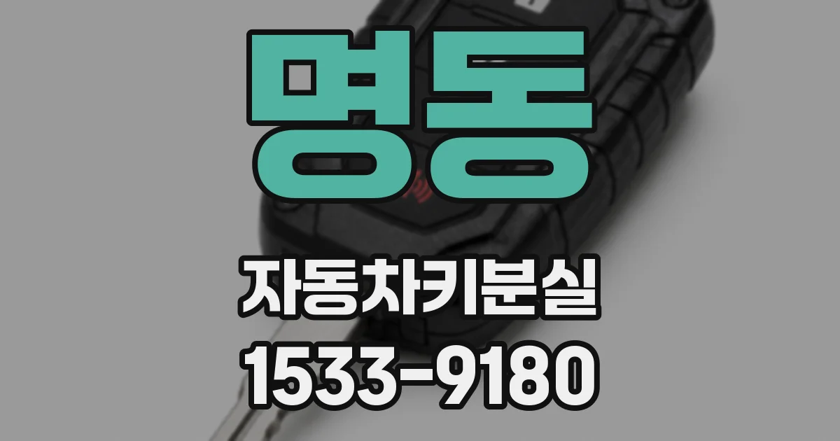 명동 자동차키분실